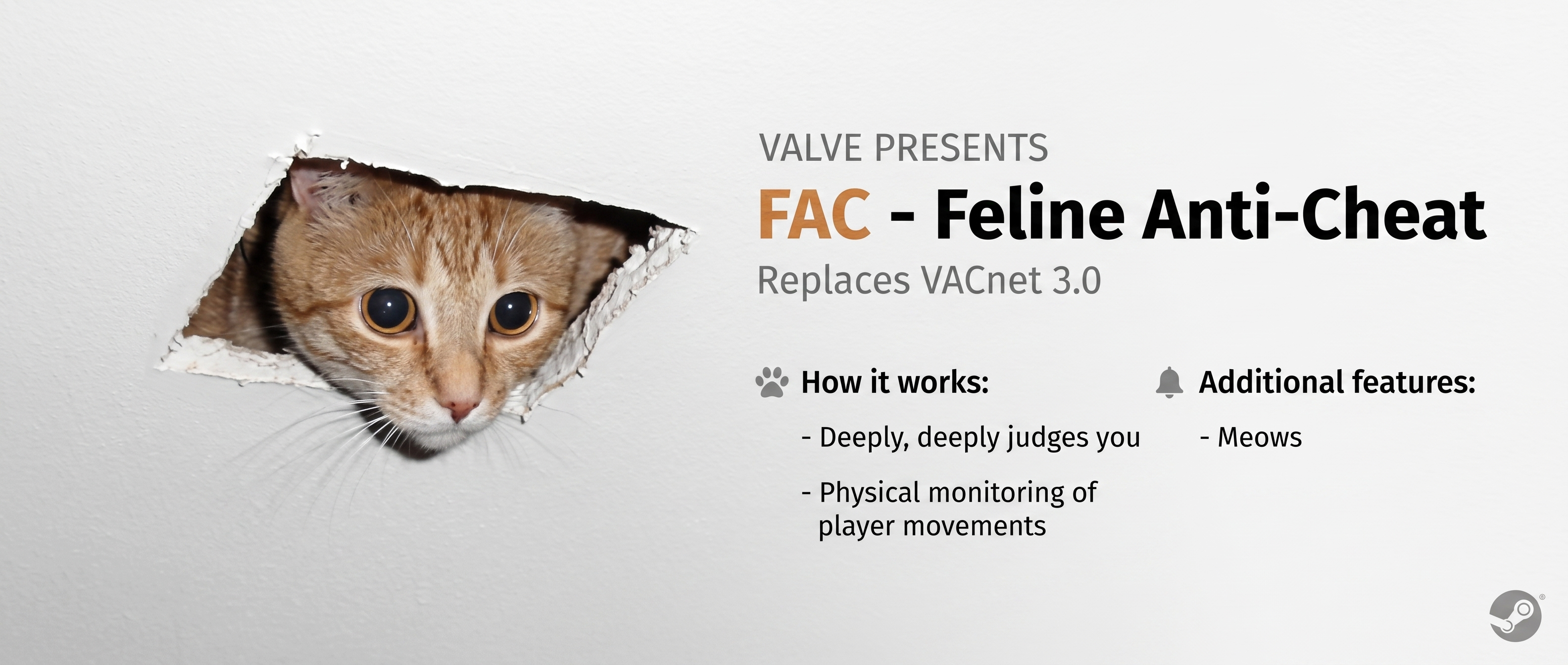 Ceiling Cat watching over the Cheater Strike 2 servers